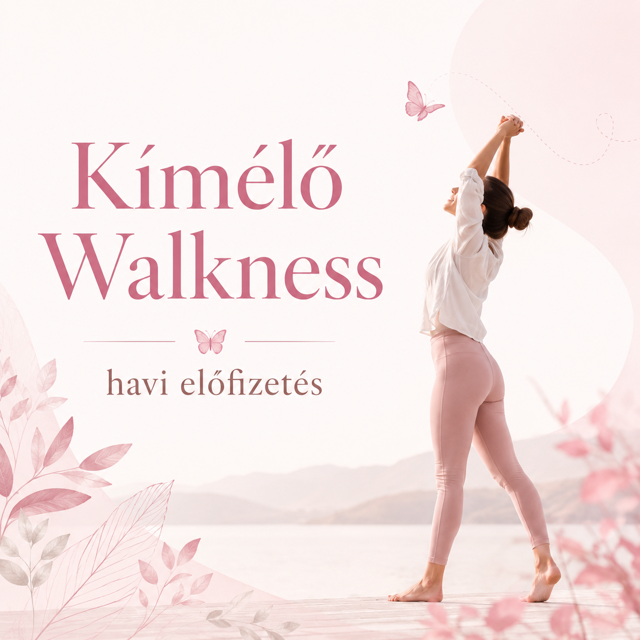 Kímélő Walkness havi előfizetés